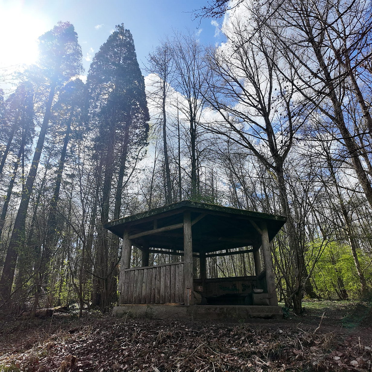 Fotos: Stadt Völklingen / Vivienne Knoch WhatsApp_Image_2026-04-07_at_08