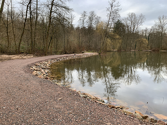 ein Weiher mit befestigtem Rundweg