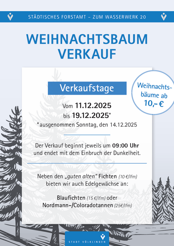 DD_251107_Forstamt_Weihnachtsbaumverkauf_Verkauf