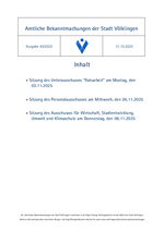 2025/45 Amtliche Bekanntmachungen der Stadt Völklingen