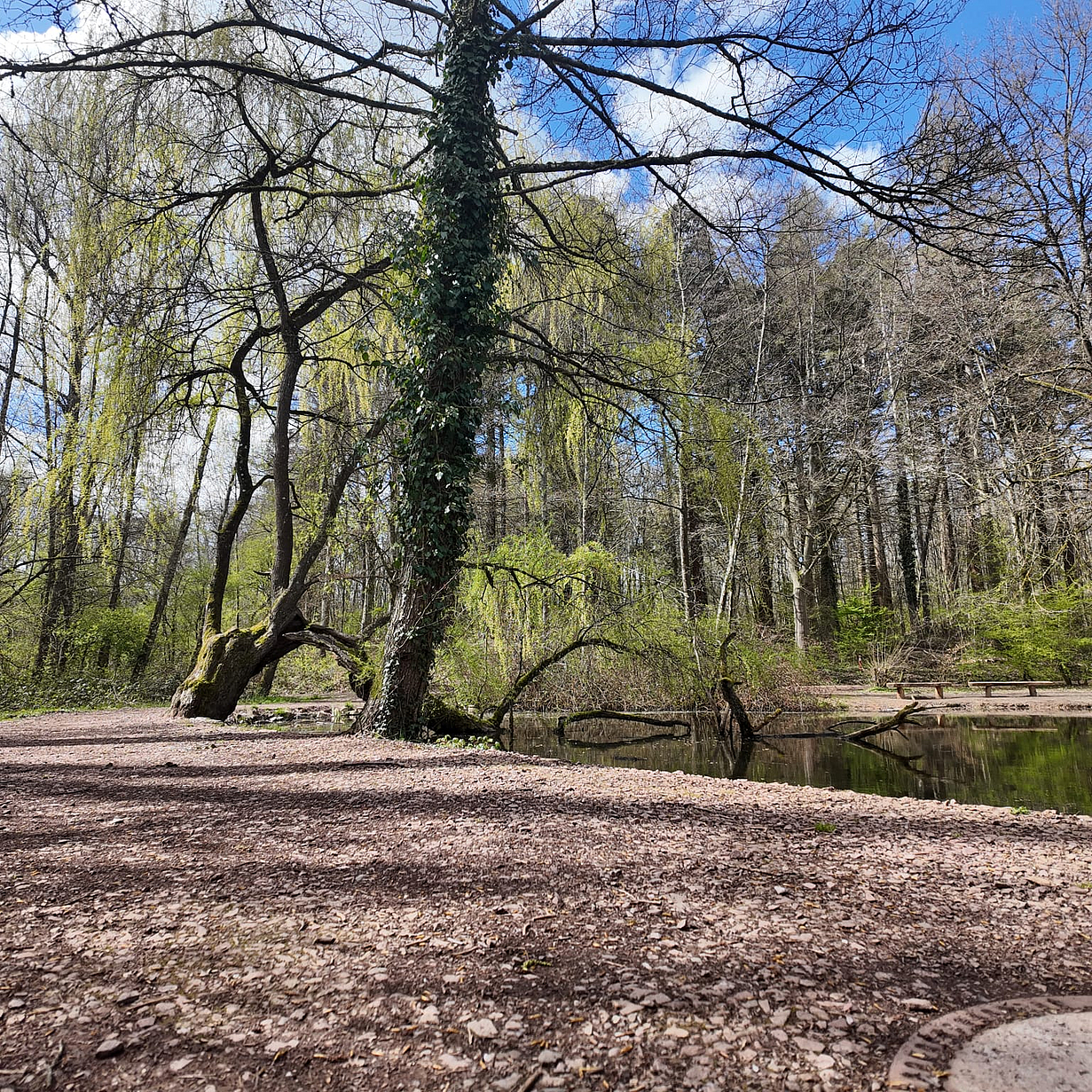 Fotos: Stadt Völklingen / Vivienne Knoch WhatsApp_Image_2026-04-07_at_08