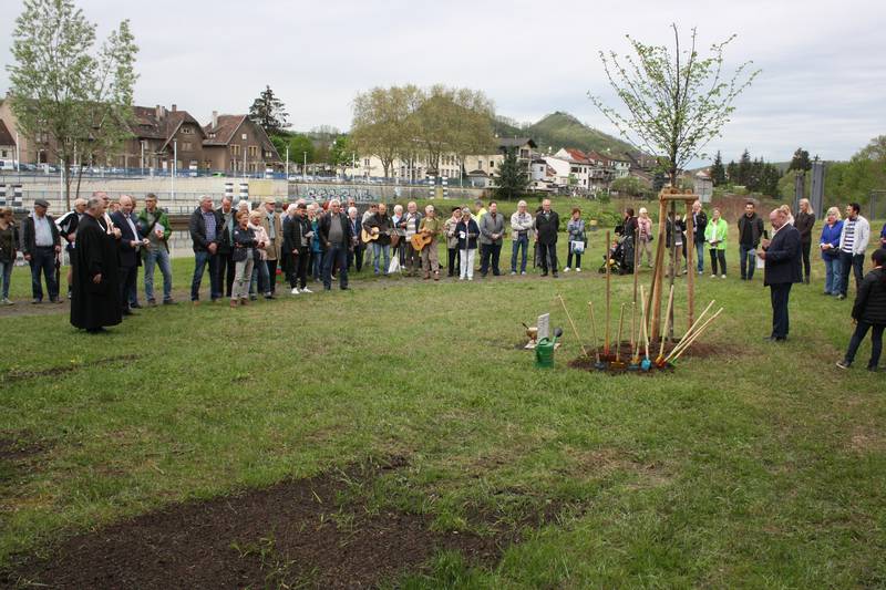 Tag des Baumes Stadt Völklingen